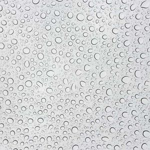 Meet your Posher, Nora