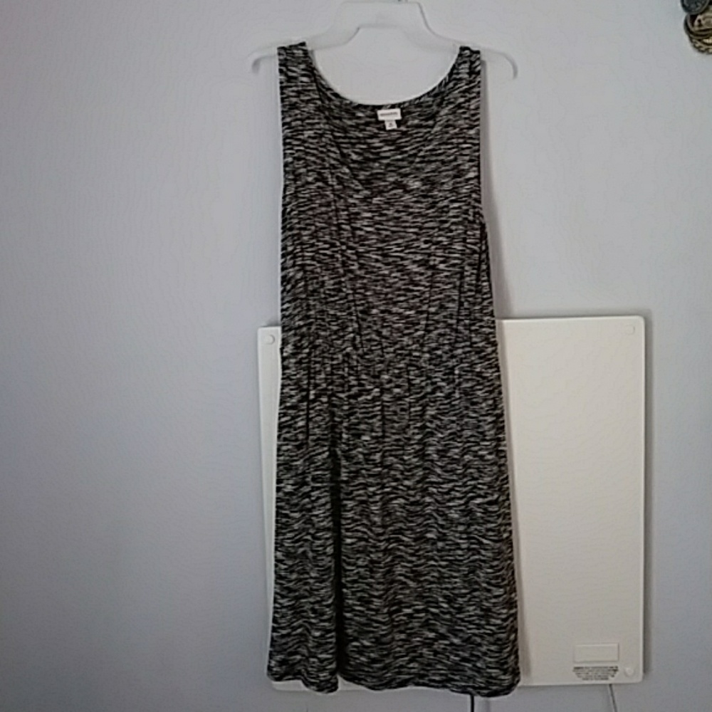 Merona skater dress