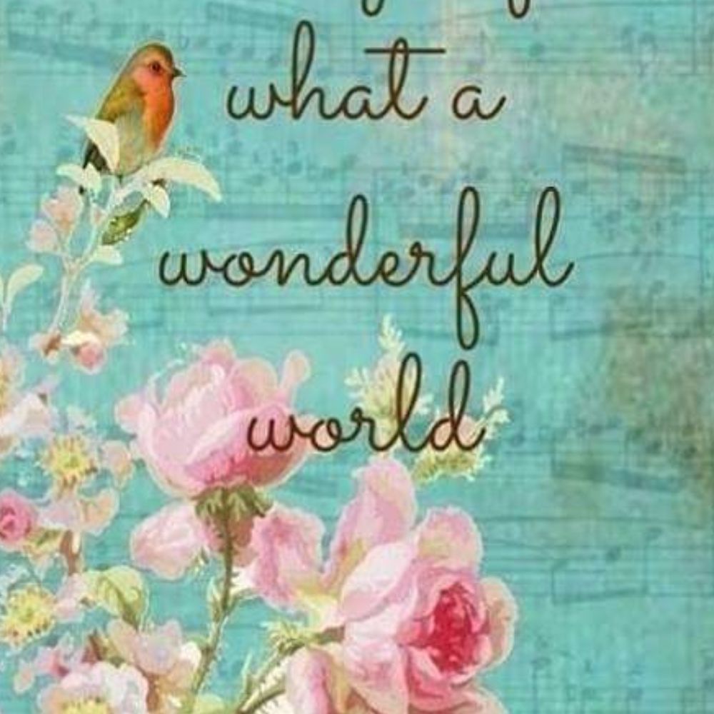 Meet your Posher, Lydia