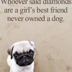 Meet your Posher, Libby