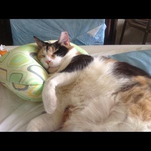 Meet your Posher, Cathy