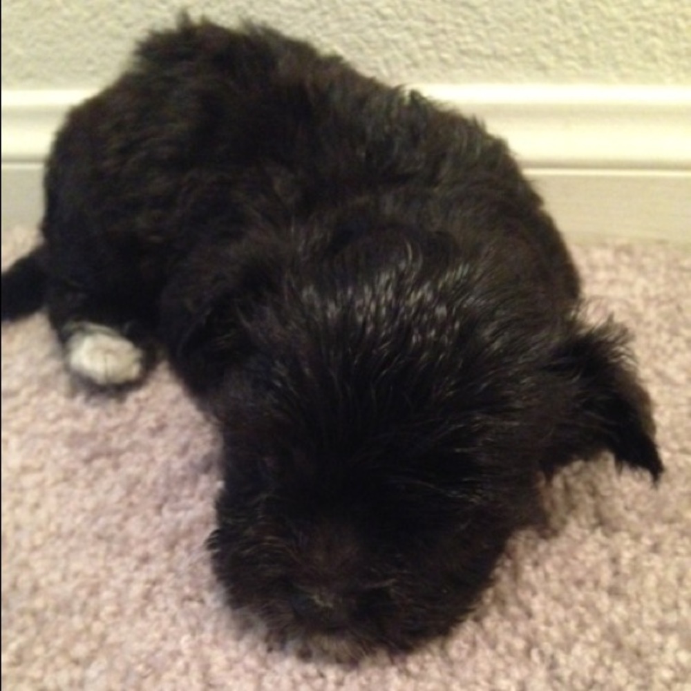 Meet your Posher, Jen