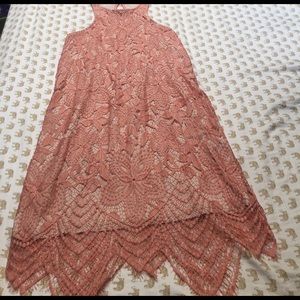 Express lace scalloped dress
