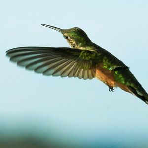 Meet your Posher, Carol