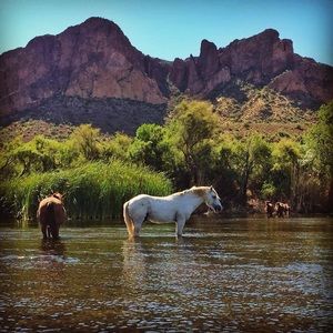 Meet your Posher, Lorrie