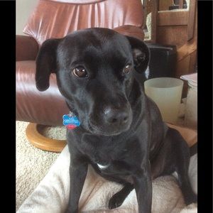 Meet your Posher, Robin