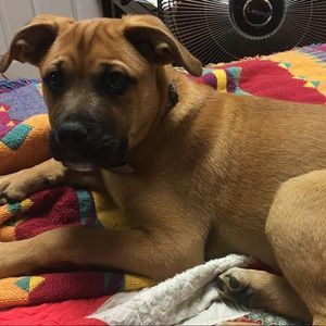 Meet your Posher, Jared