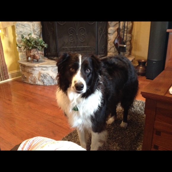 Meet your Posher, Janice - Picture 7 of 8