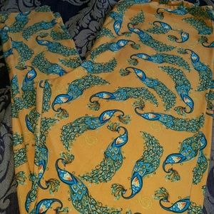 Lularoe peacock TC leggings *unicorn*