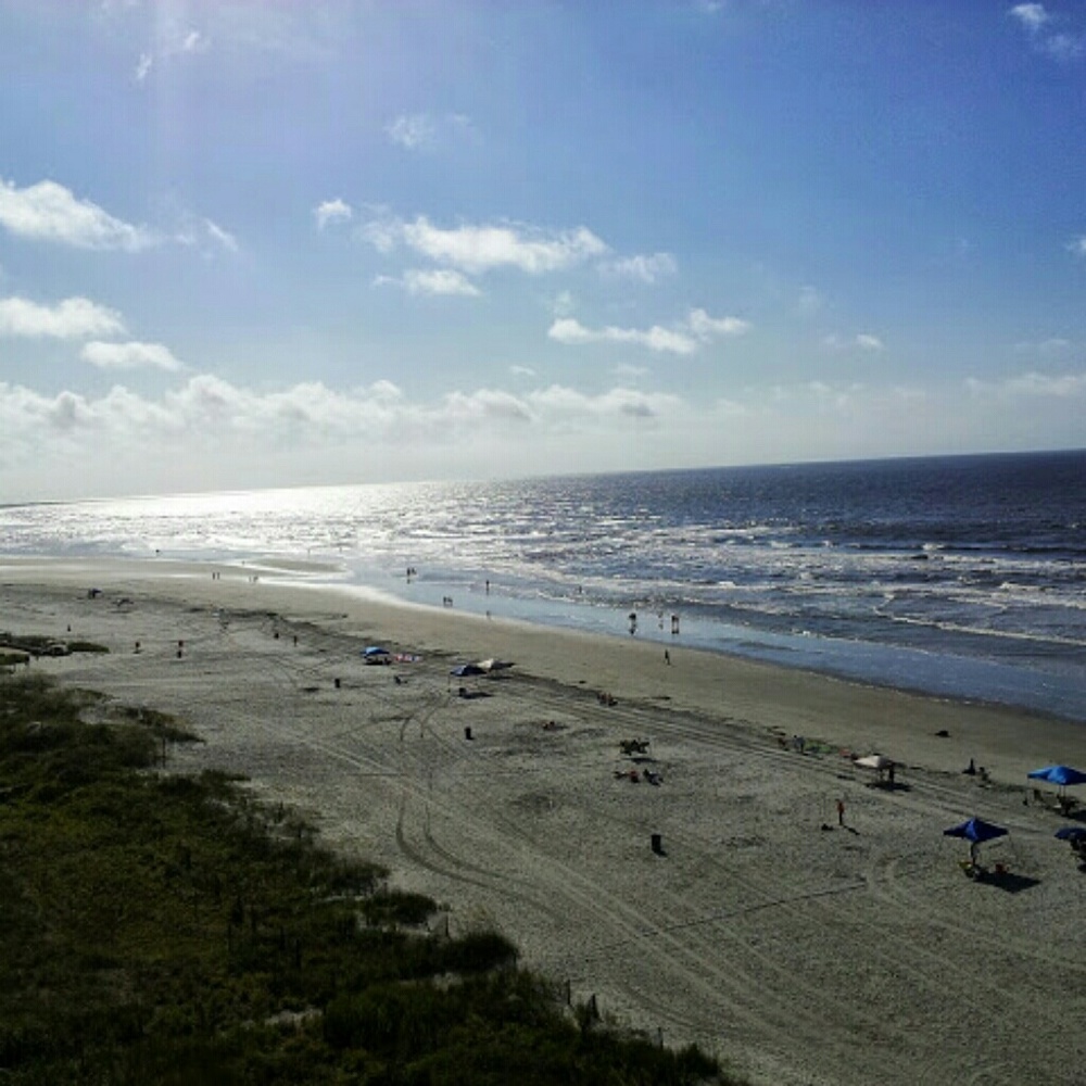 Meet your Posher, William