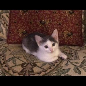 Meet your Posher, Jill