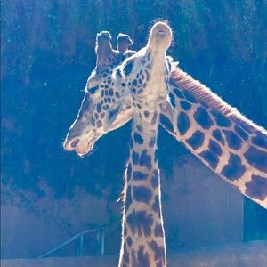 Meet your Posher, Barbara