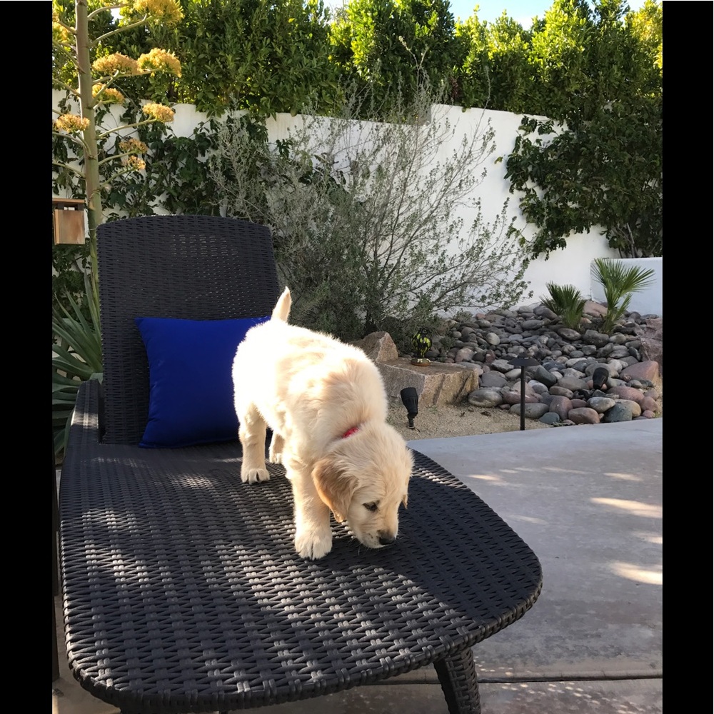 Meet your Posher, Andrew