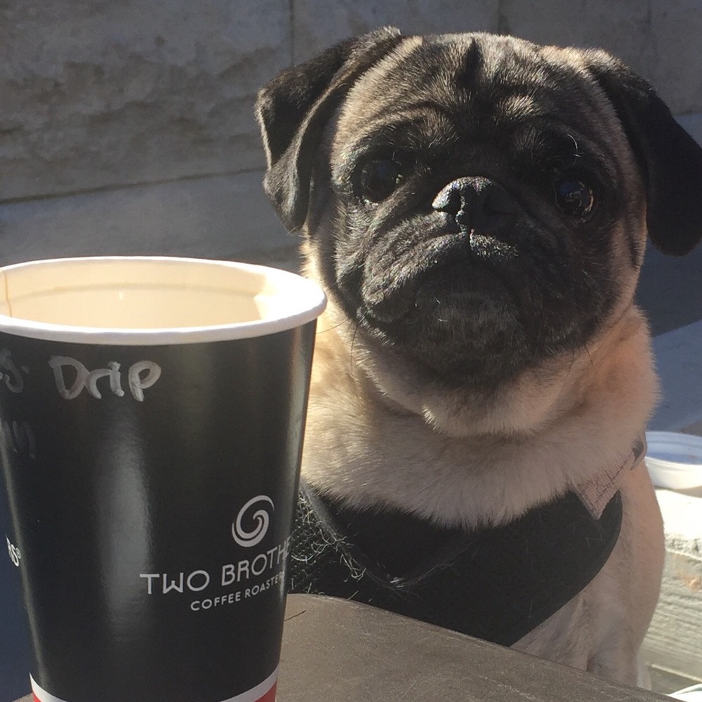 Meet your Posher, John