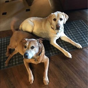 Meet your Posher, Deborah