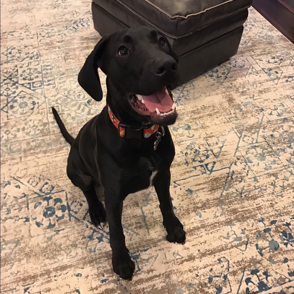 Meet your Posher, Erika