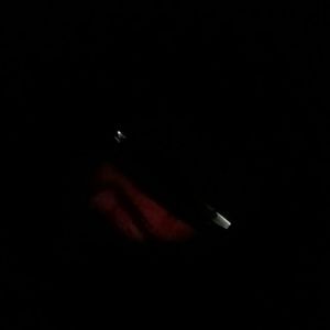 Meet your Posher, Danny