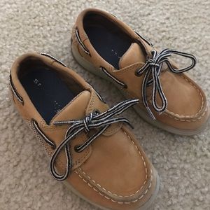 Sperry Top-Spider