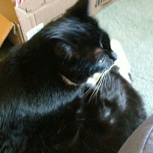 Meet your Posher, Pam