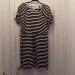 Olive Green and White Striped Dress