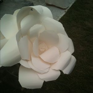 Meet your Posher, Jeannine