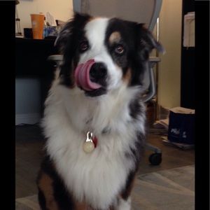 Meet your Posher, Alan