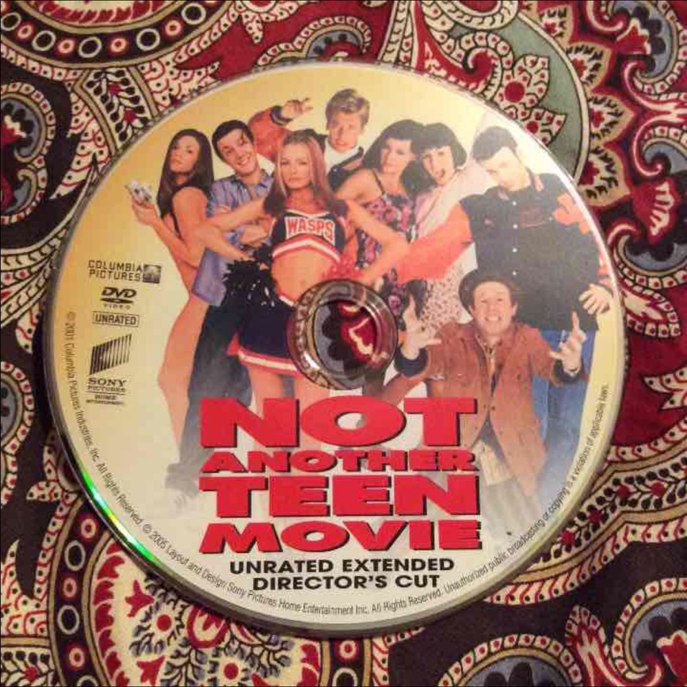 Not Another Teen Movie