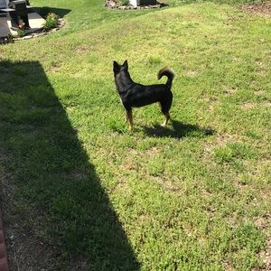 Meet your Posher, Tatyana