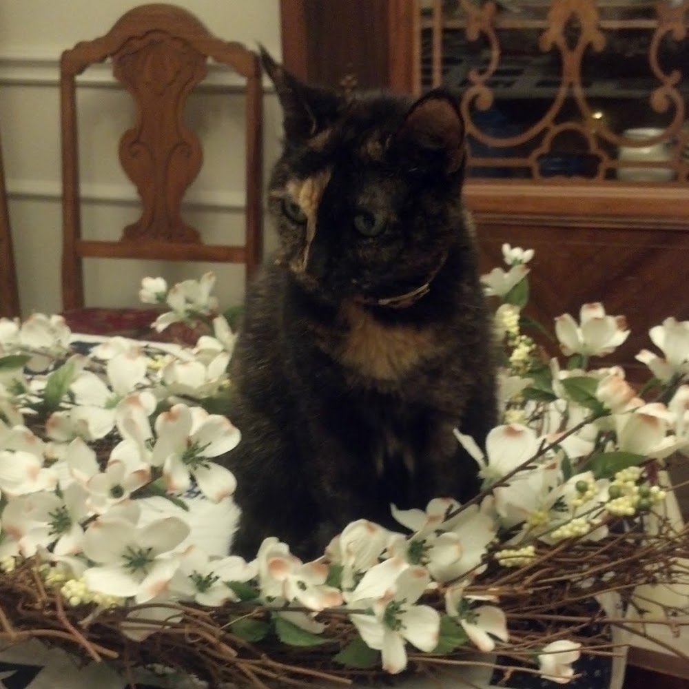 Meet your Posher, Linda