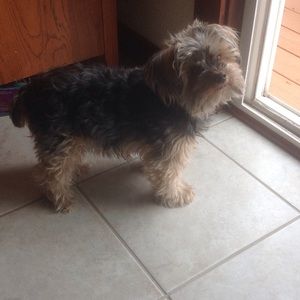 Meet your Posher, Terri