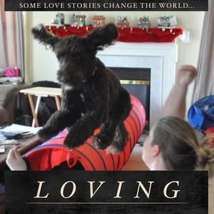 Meet your Posher, Ellen