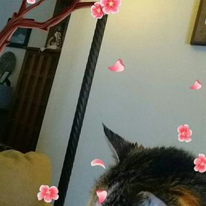 Meet your Posher, Jan