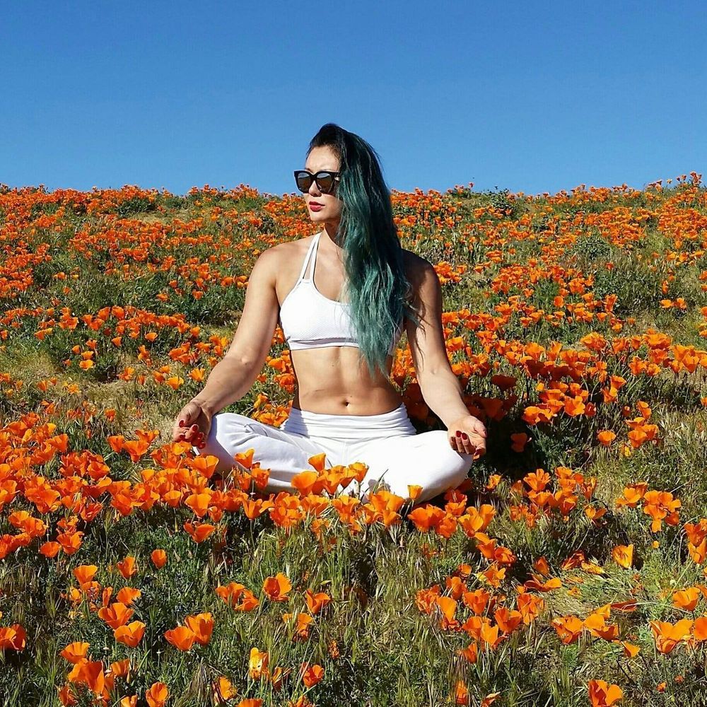 Bundle to save! Make me an offer.