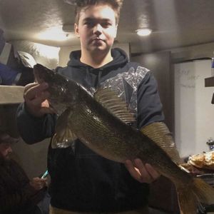 Meet your Posher, Harlo