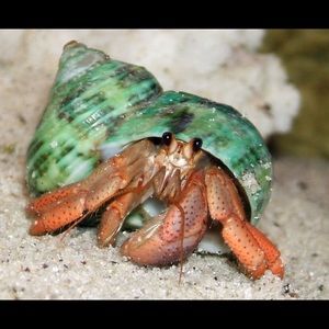 Meet your Posher, Parker