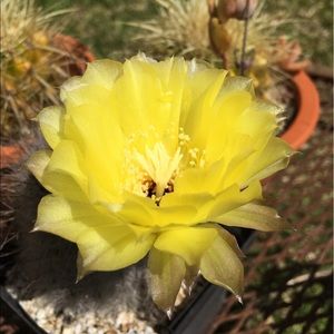 Meet your Posher, Diane