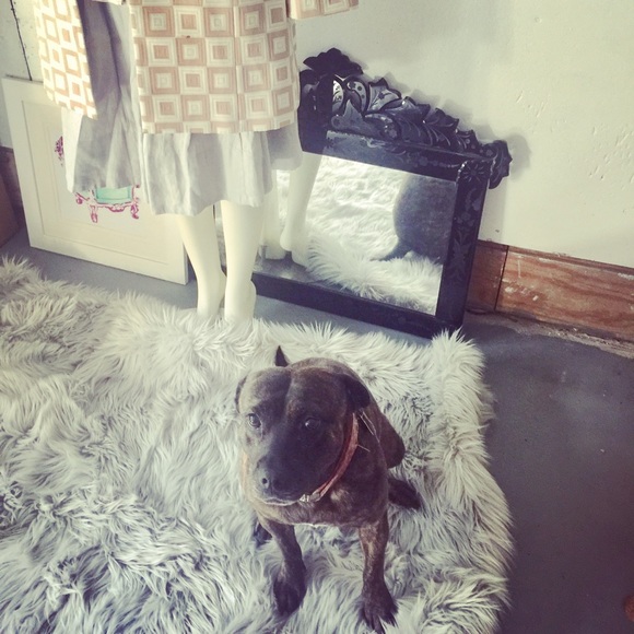 Hi! I’m Jo! Meet Your Posher! Xo - Picture 2 of 8