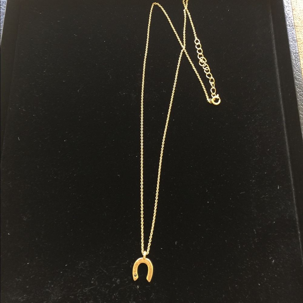 Gold tone necklace with horseshoe charm.