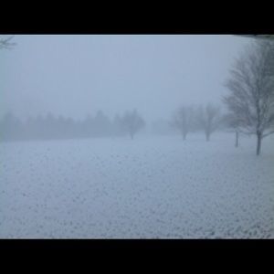 Meet your Posher, Patty