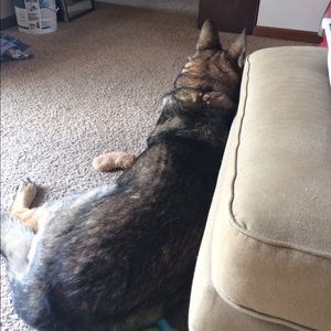 Meet your Posher, Dale