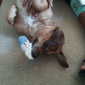 Meet your Posher, Lynn