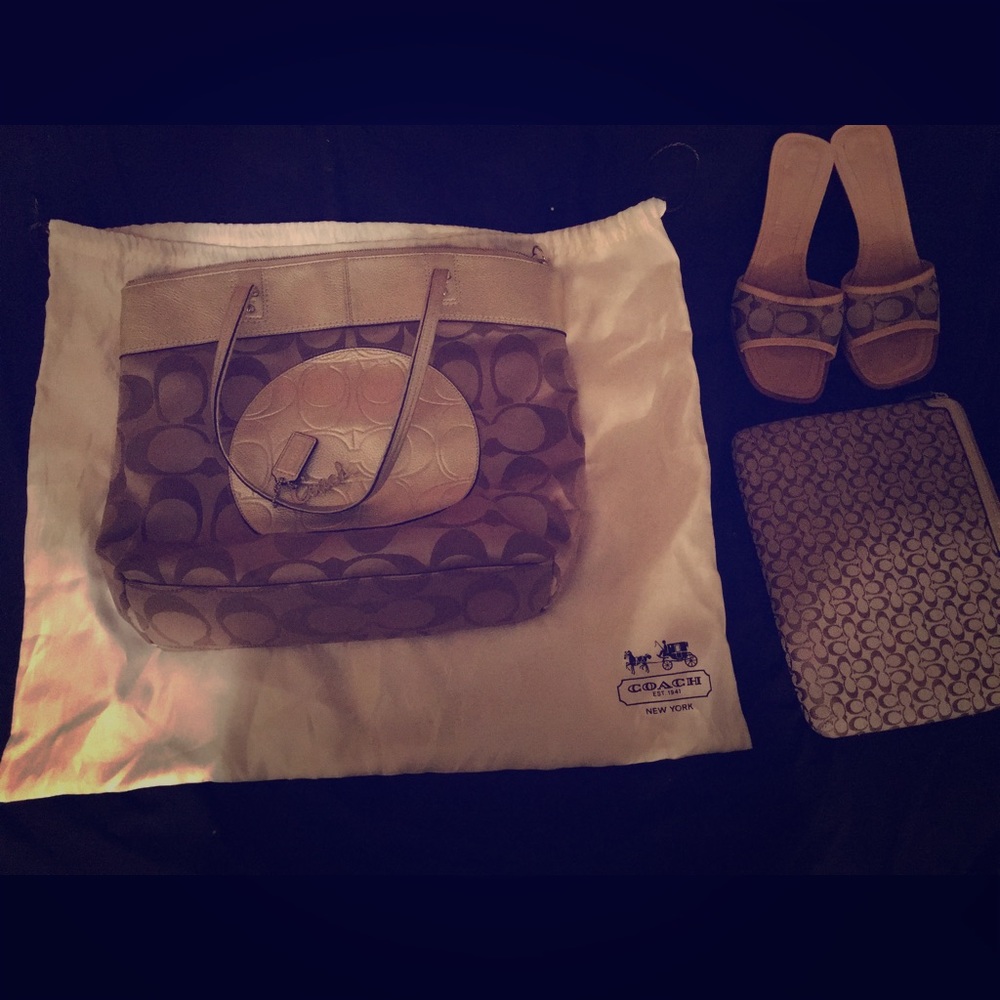 Gold Embellished Coach Carryall