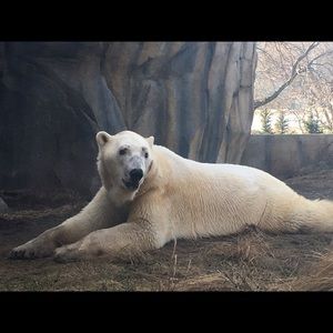 Meet your Posher, Renee