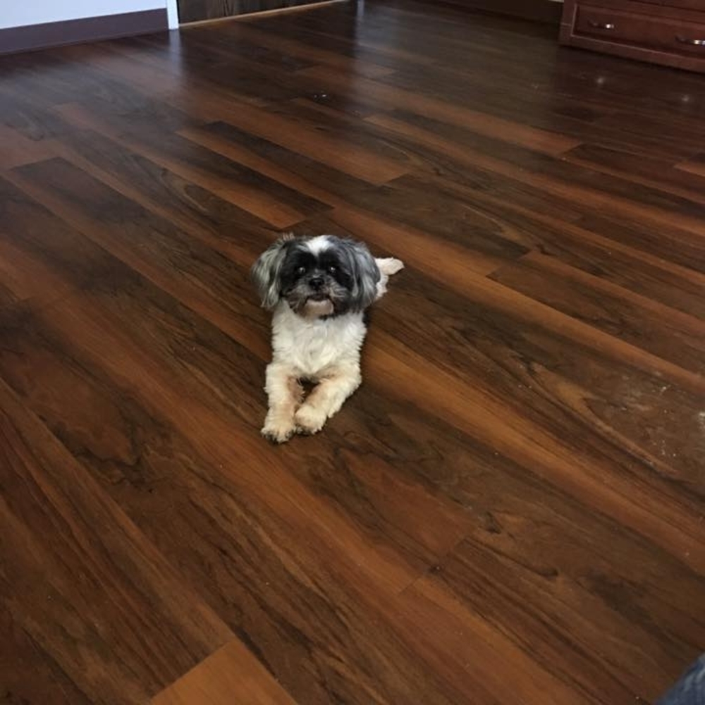 Meet your Posher, Sharon