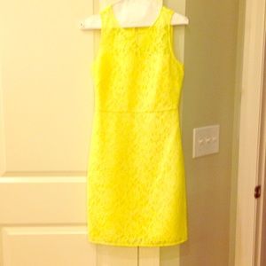J. Crew Factory Lace Dress