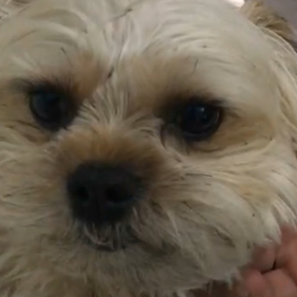 Meet your Posher, Miriam