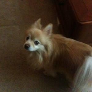 Meet your Posher, Bernice