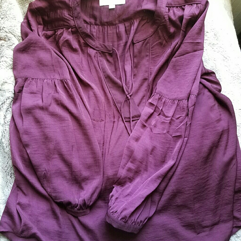 Ann Taylor Loft Plum Blouse