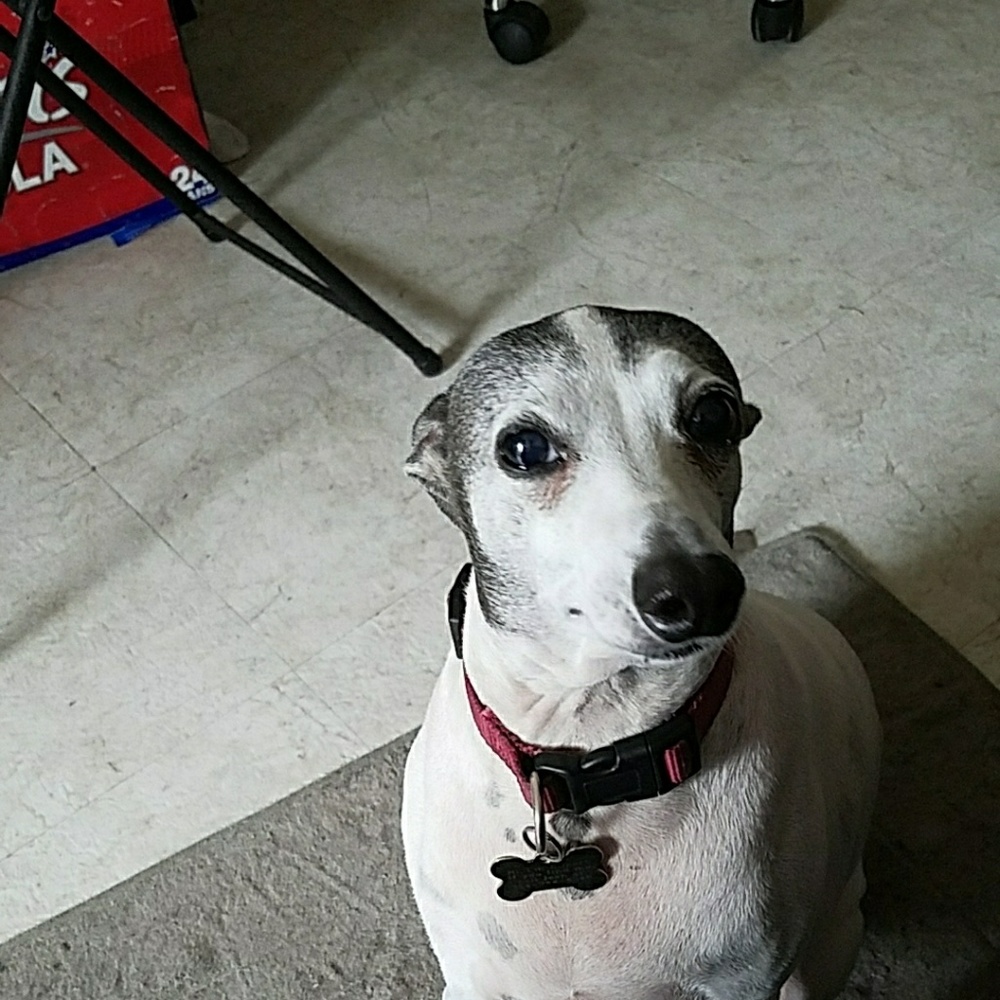 Meet your Posher, Jean