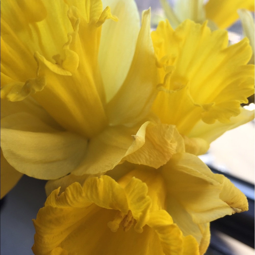 SPRING SALE